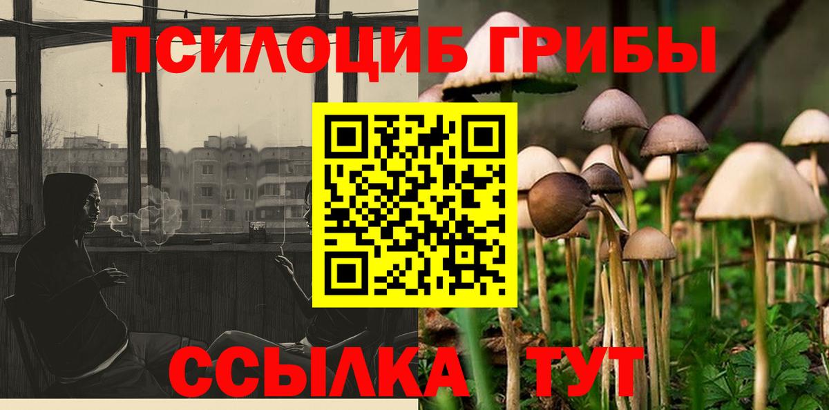 Галлюциногенные грибы мицелий Лыткарино