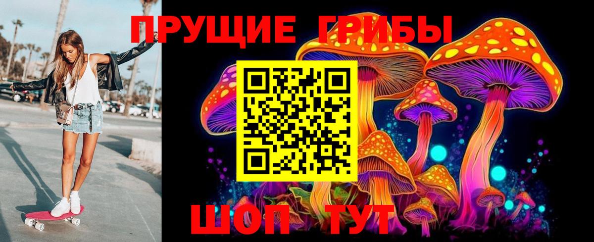 Псилоцибиновые грибы ЛСД  Вход с VPN  Лыткарино  Псилоцибиновые грибы мухоморы 